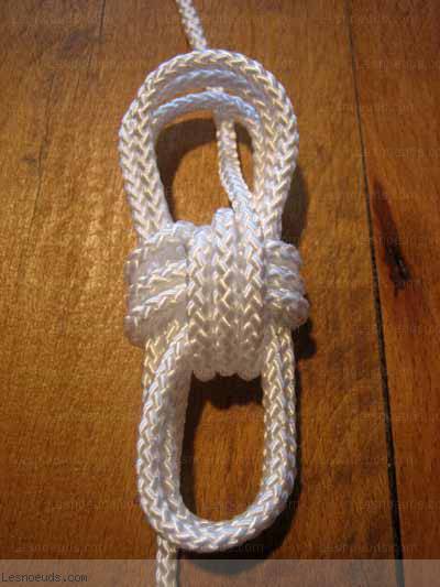 touline3.jpg touline3.jpg