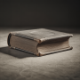 ideogram_3_-_old_grimoire_-cinema_-high_contrast.png