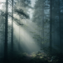 firefly_5_-lighting_-volumetric_fog.png