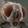 gpt_image_2_-photography_-macro_shot.png